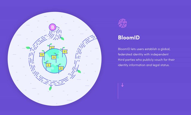 Bloom Blt Ico On Now Steemit