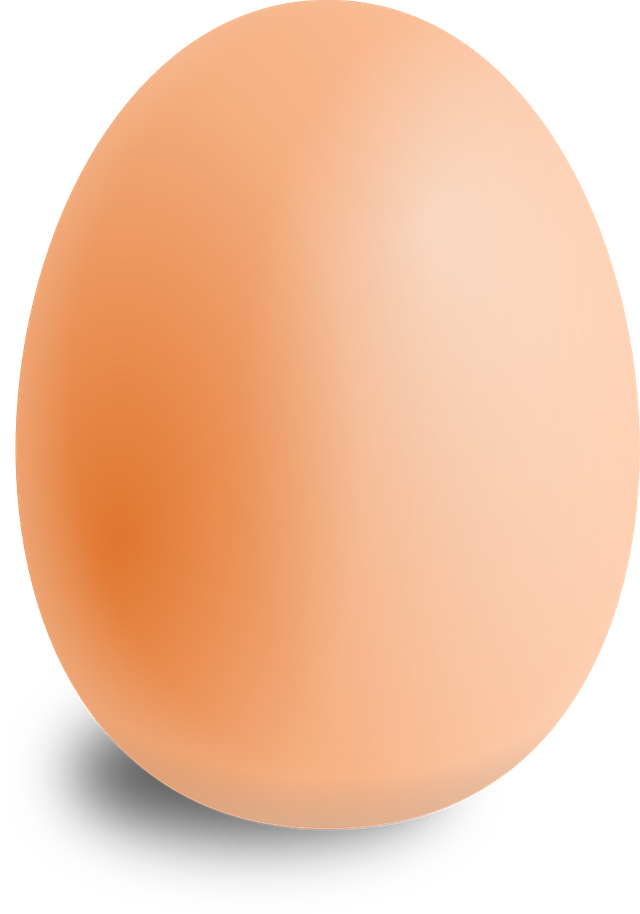 egg-157224_1280.png