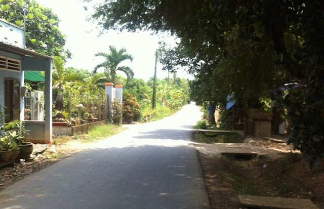 The-island-is-full-of-quiet-leafy-lanes.jpg