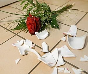 rose20with20broken20vase.jpg