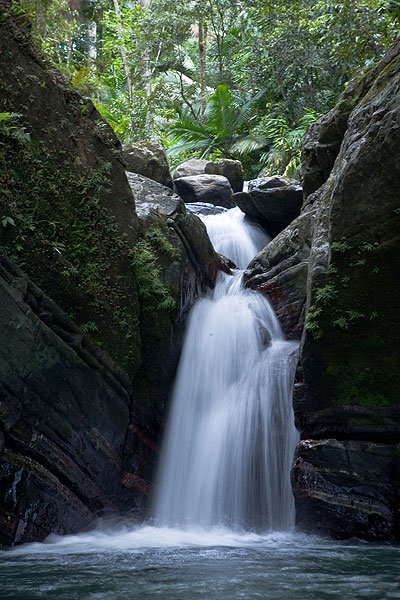 El-Yunque-Rainforest_4.jpg