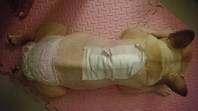 20180312_020813.jpg