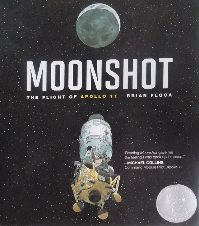 Moonshot.jpg