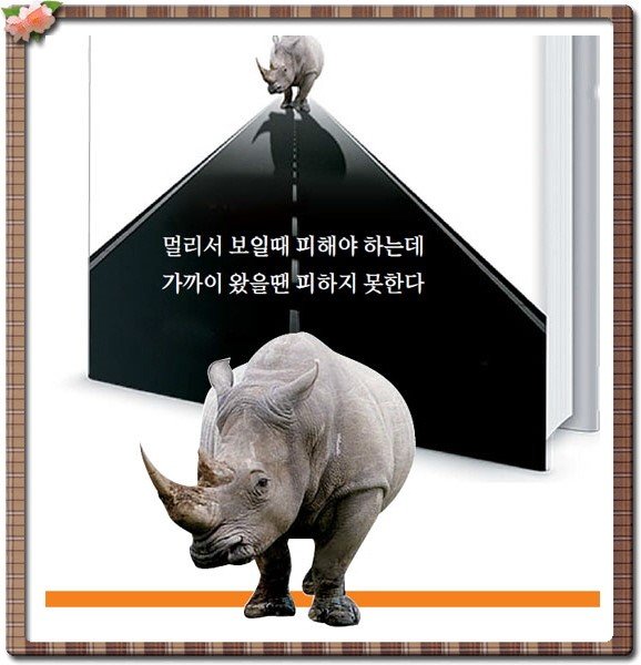 회색코뿔소.jpg