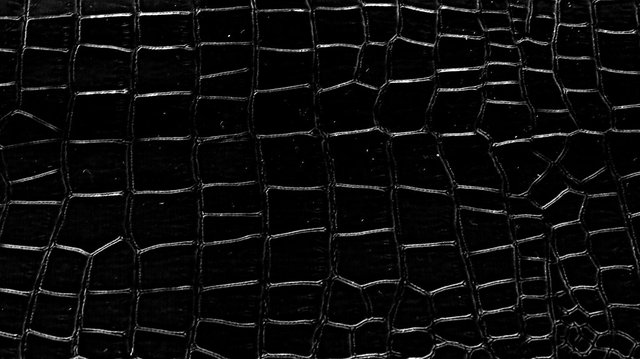 black_alligator_texture_vampstock_by_vampstock-d67e9cr.jpg