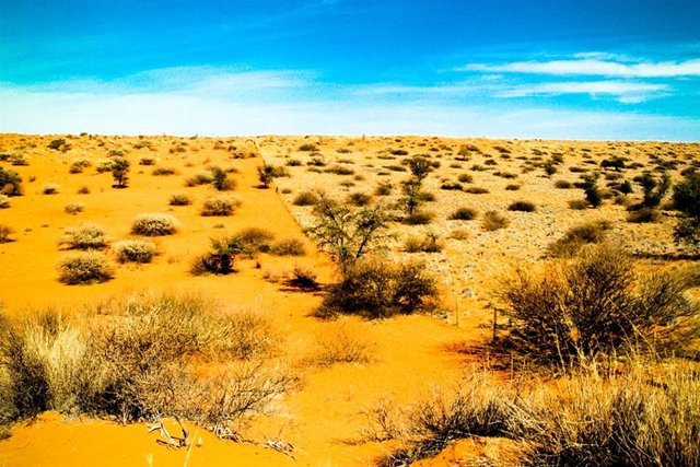 Kalahari Desert.jpg