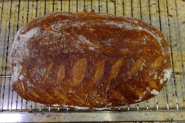 Yeast water bread