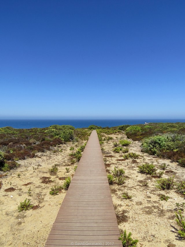 Trilho para a Praia de Vale dos Homens.jpg