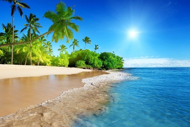tropical paradise.jpg