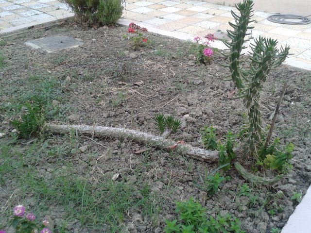 20150614_202216.jpg