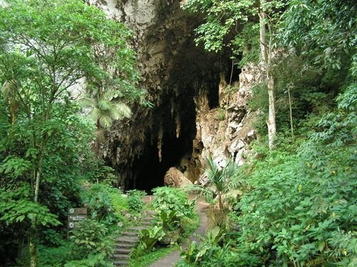 Parque-nacional-El-Guacharo.jpg