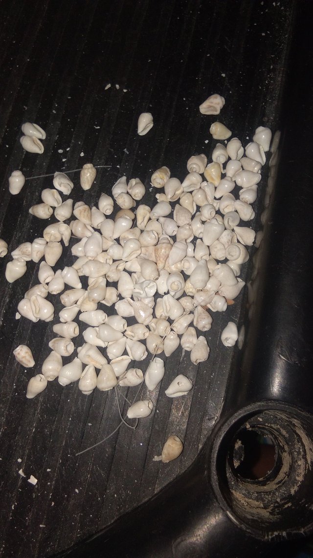 IMG_20180520_162812.jpg