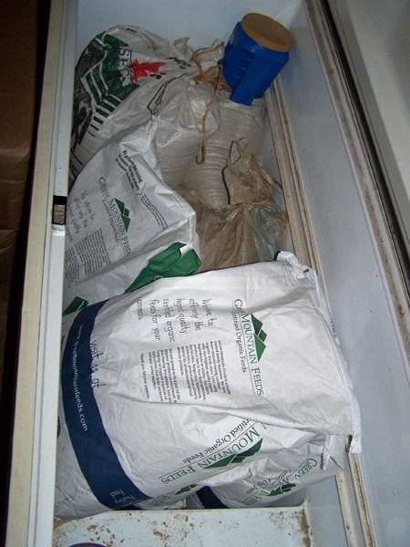 Grain in big freezer crop March 2018.jpg