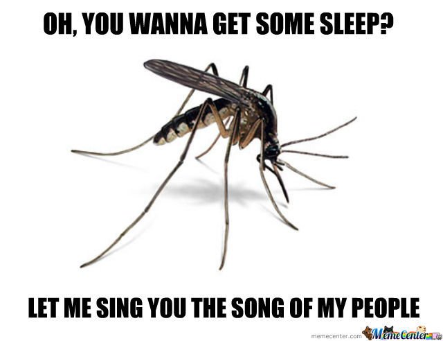 annoying-mosquito_o_1082158.jpg