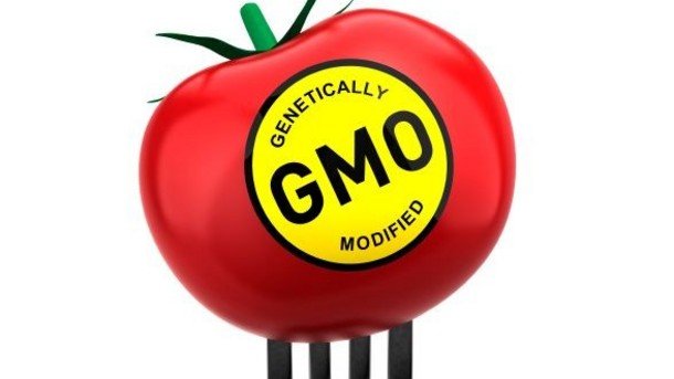 Packaged-Facts-Non-GMO-foods-will-account-for-30-of-US-food-and-beverage-retail-sales-by-2017_strict_xxl.jpg