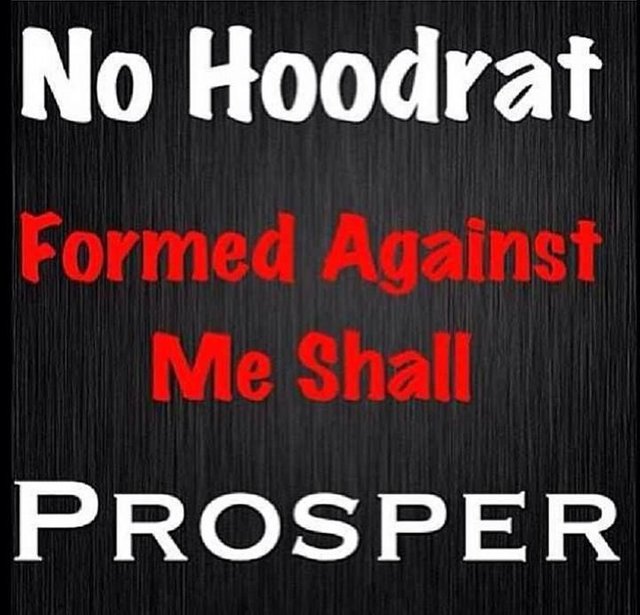 no hoodrat.jpg