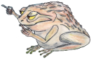 toad.png