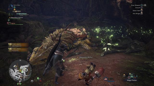 Giant Jagras