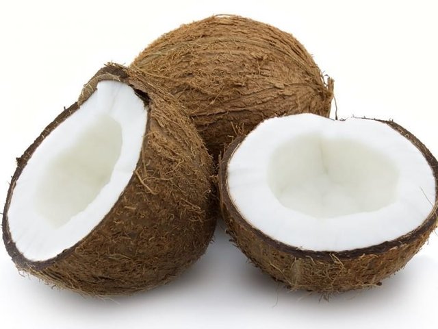 Coconut2.jpg