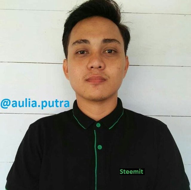 Aulia.jpeg