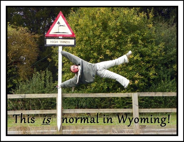 normal_in_wyoming.jpg