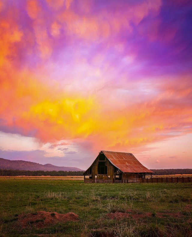 United-States-California-Shasta-Barn.jpg