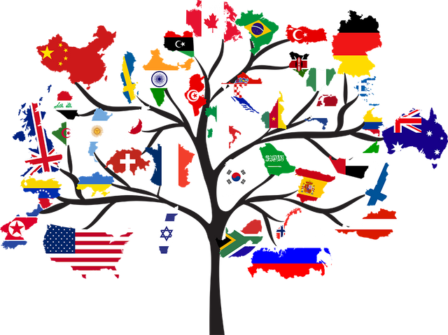 2B7C5CC3-4501-4918-A485-F10C7F8EEEC3.png