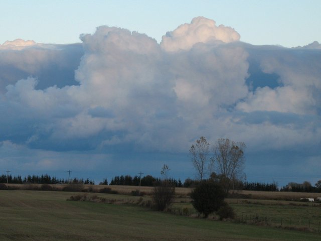 landscape-01.jpg