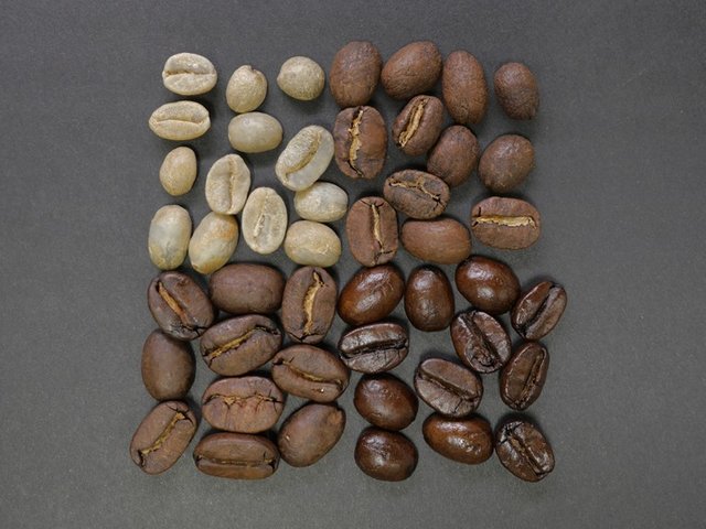 light-beans-dark-beans.jpg