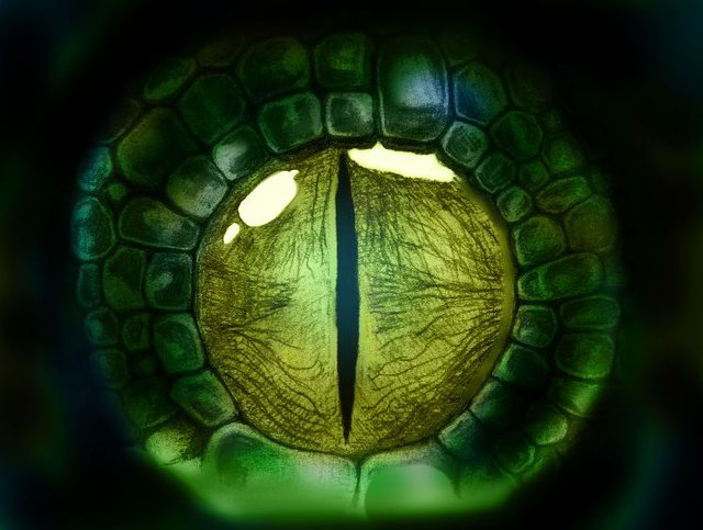 reptileeye4.jpg