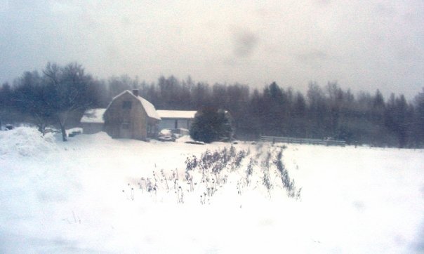 snowy farm.jpg