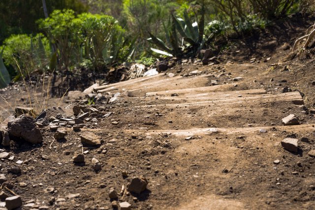 Tenerife day 6 Masca_54.jpg