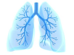 lungs-diagram.jpg