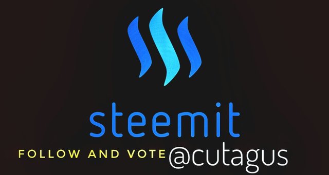 steemit-logo-blockchain-social-media-platform-1068x559-01.jpeg