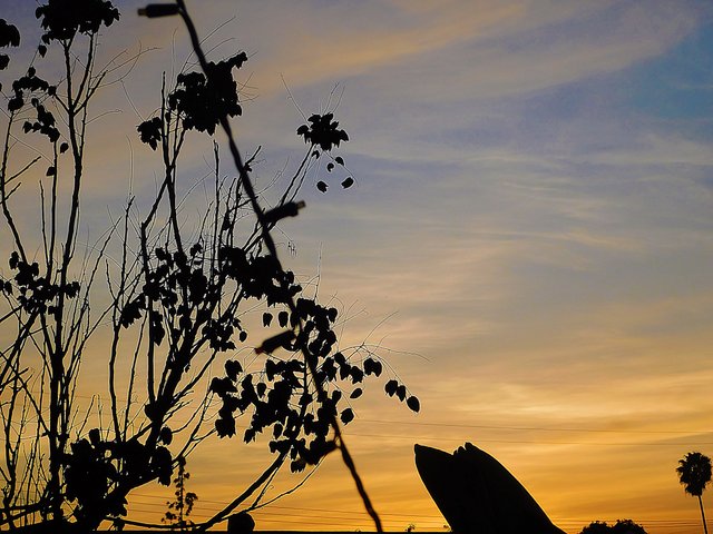 sunset, nature, photography by jeronimo rubio, all rights reserved, 2018 (7).JPG