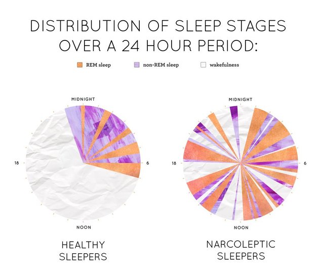 NarcolepsyChart.jpg