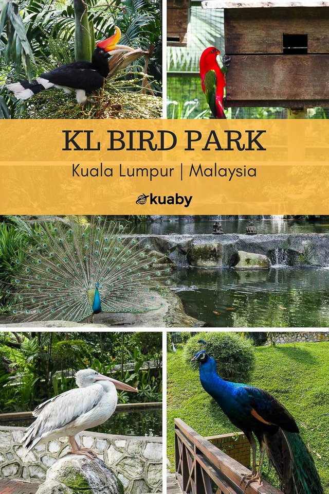 kl-bird-park-pinterest.jpg