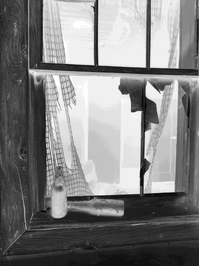 b&w bottle window.jpg