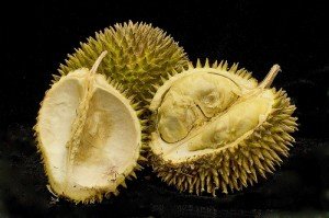 durian-300x199.jpg