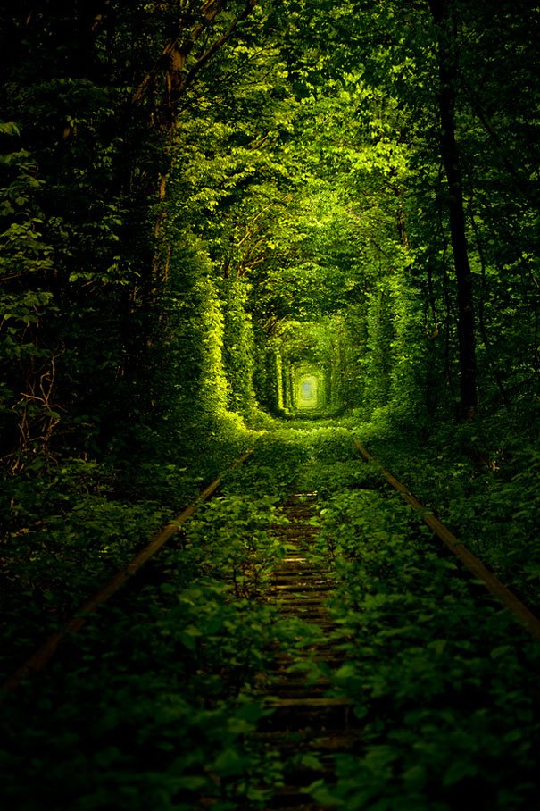 tunnel-of-love-ukraine-6.jpg