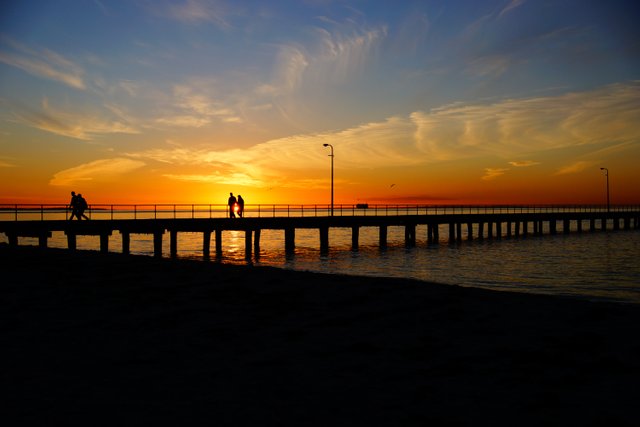 Alex Wigan, Rosebud, Australia.jpeg