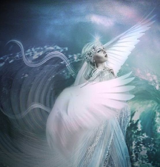 The Angels ~ You Are Part of the Radiating Peace.jpg