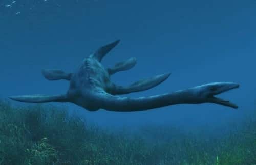 Elasmosaurus.jpg