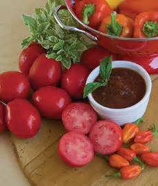 salsa garden burpee harvest.jpg