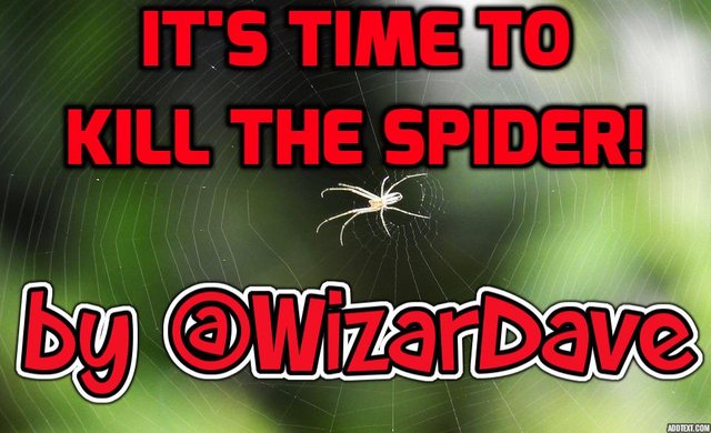 It's time to kill the spider by @WizarDave