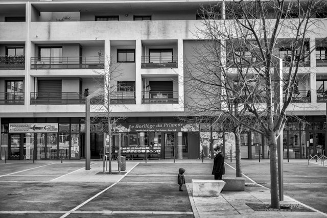 20180104_Castelnau_le_Lez_B&W_035.JPG