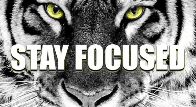 Stay-focused-tiger.png