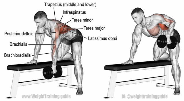bent-over-one-arm-dumbbell-row-990x545.png