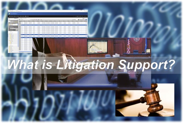 What Is Litigation Support.jpg