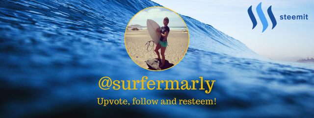 @surfermarly (3).png